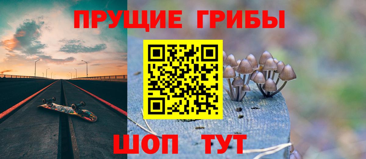 Кингисепп  продажа наркотиков  Вход с VPN  Галлюциногенные грибы мухоморы 
